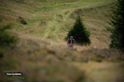 2022-08-20 Koralm Trailrunning Event 2022 - DSC_3848